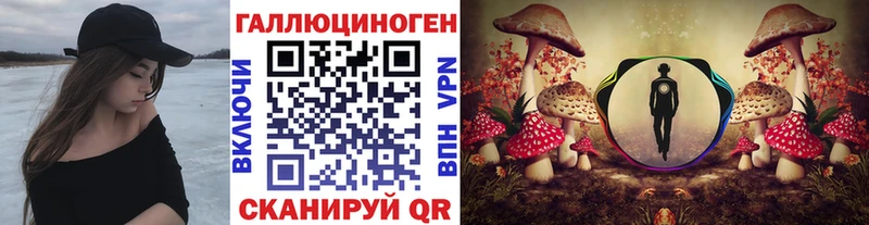 Галлюциногенные грибы мицелий  Симферополь 