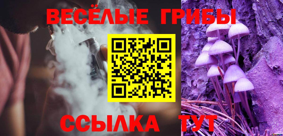Галлюциногенные грибы Psilocybine cubensis Симферополь